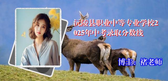 沅陵县职业中等专业学校2025年中考录取分数线