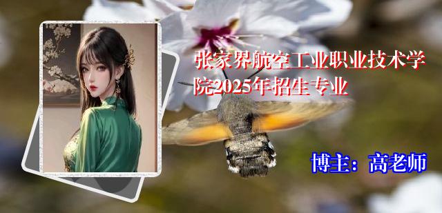 张家界航空工业职业技术学院2025年招生专业