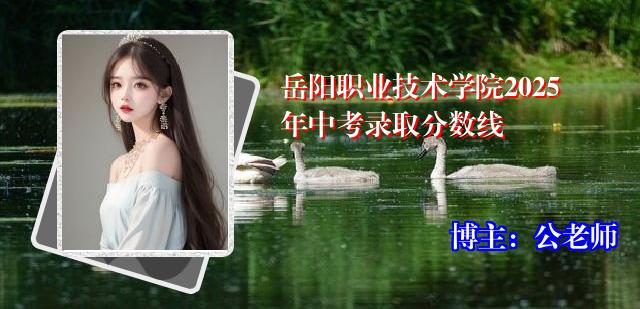 岳阳职业技术学院2025年中考录取分数线