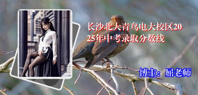 长沙北大青鸟电大校区2025年中考录取分数线