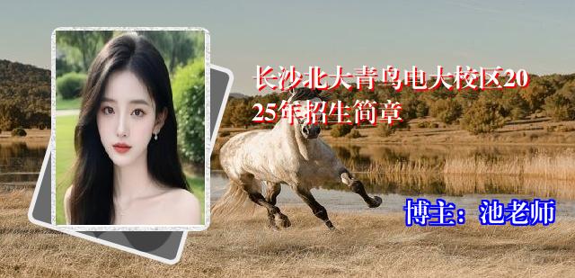 长沙北大青鸟电大校区2025年招生简章