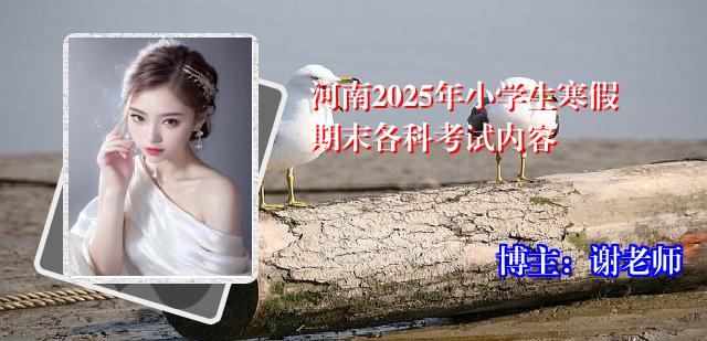 河南2025年小学生寒假期末各科考试内容
