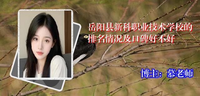 岳阳县新科职业技术学校的排名情况及口碑好不好