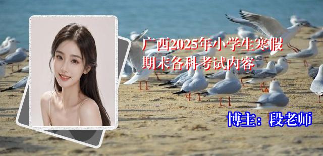 广西2025年小学生寒假期末各科考试内容