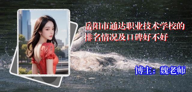 岳阳市通达职业技术学校的排名情况及口碑好不好