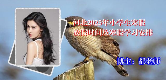 河北2025年小学生寒假放假时间及寒假学习安排