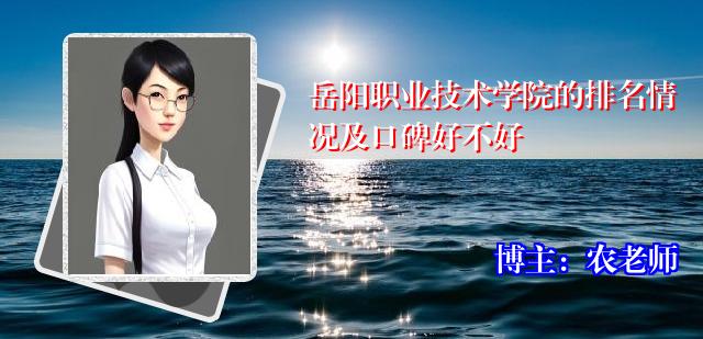 岳阳职业技术学院的排名情况及口碑好不好