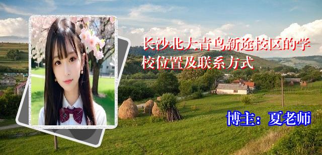 长沙北大青鸟新途校区的学校位置及联系方式