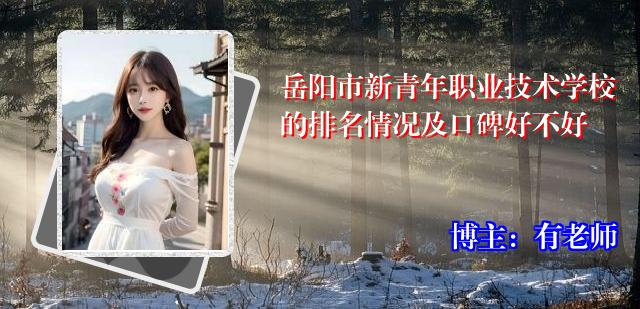 岳阳市新青年职业技术学校的排名情况及口碑好不好
