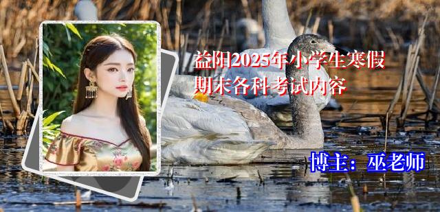益阳2025年小学生寒假期末各科考试内容
