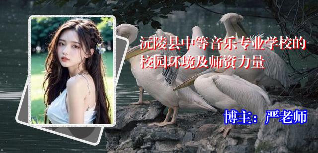 沅陵县中等音乐专业学校的校园环境及师资力量