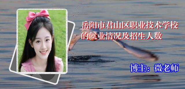 岳阳市君山区职业技术学校的就业情况及招生人数