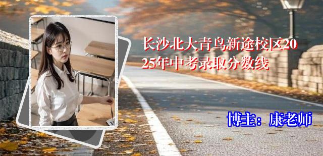 长沙北大青鸟新途校区2025年中考录取分数线