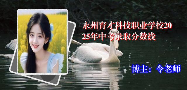 永州育才科技职业学校2025年中考录取分数线