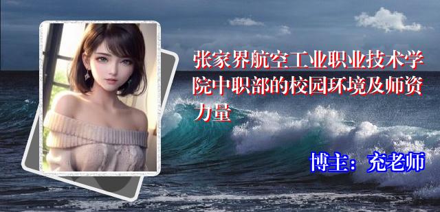张家界航空工业职业技术学院中职部的校园环境及师资力量