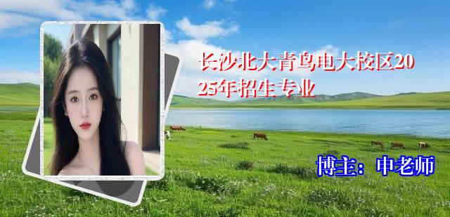 长沙北大青鸟电大校区2025年招生专业