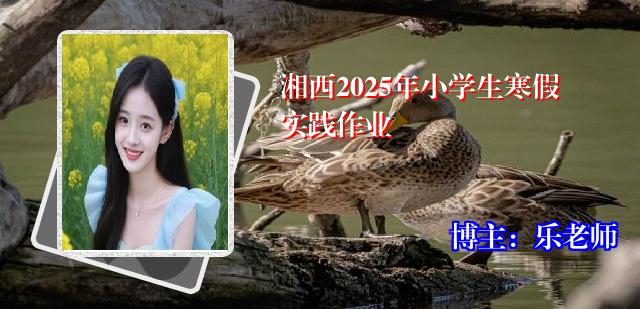 湘西2025年小学生寒假实践作业