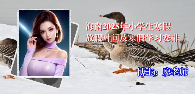 海南2025年小学生寒假放假时间及寒假学习安排