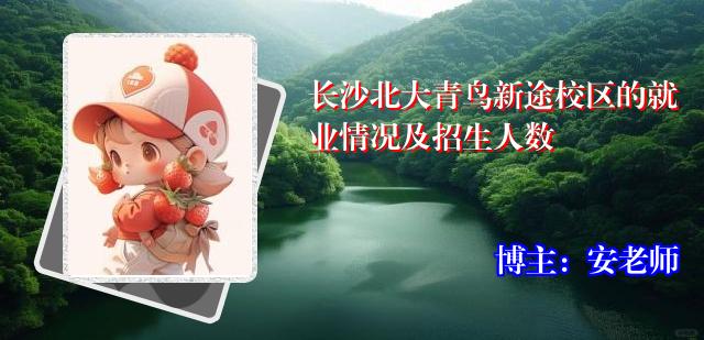 长沙北大青鸟新途校区的就业情况及招生人数
