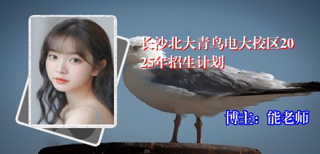 长沙北大青鸟电大校区2025年招生计划