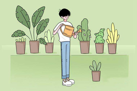 湖南电子科技职业学院2025年招生简章