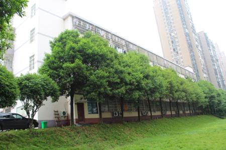六安市巨人职业中专学校