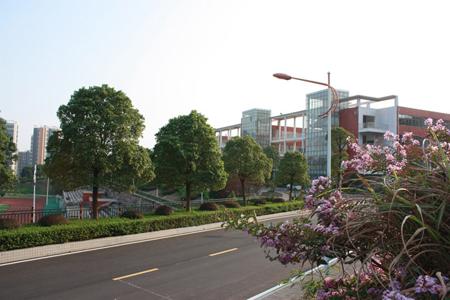 亳州现代科技艺术学校