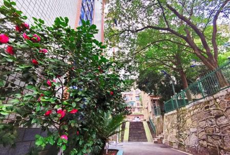 湘潭莲城医卫中等职业技术学校