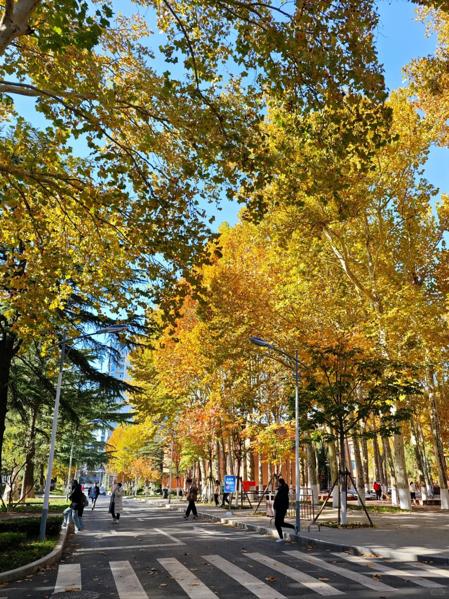 马鞍山师范高等专科学校